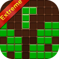 Forest Block<br> Puzzle Extreme